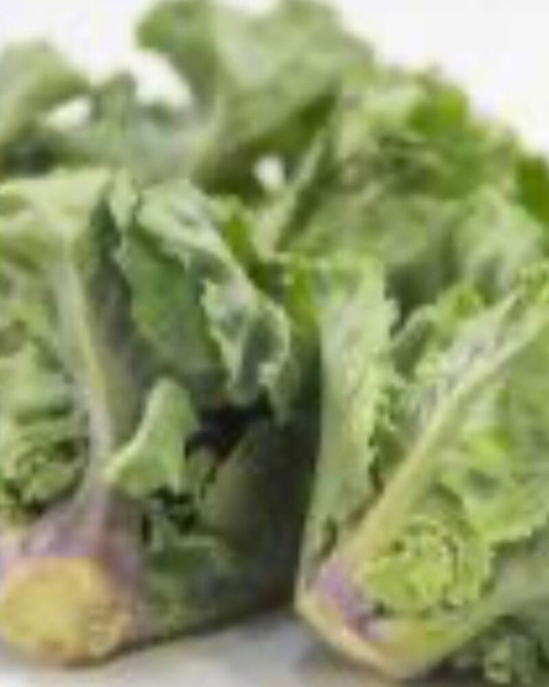 画像1580