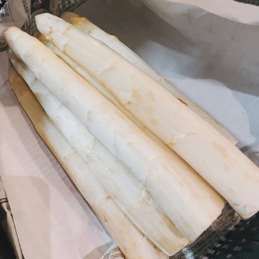 画像1652